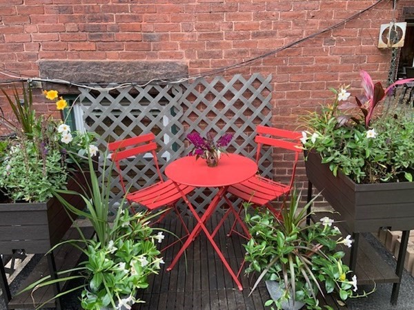 6 Thayer Street, Unit 1 Brookline, MA 02445 - Photo 15 of 15