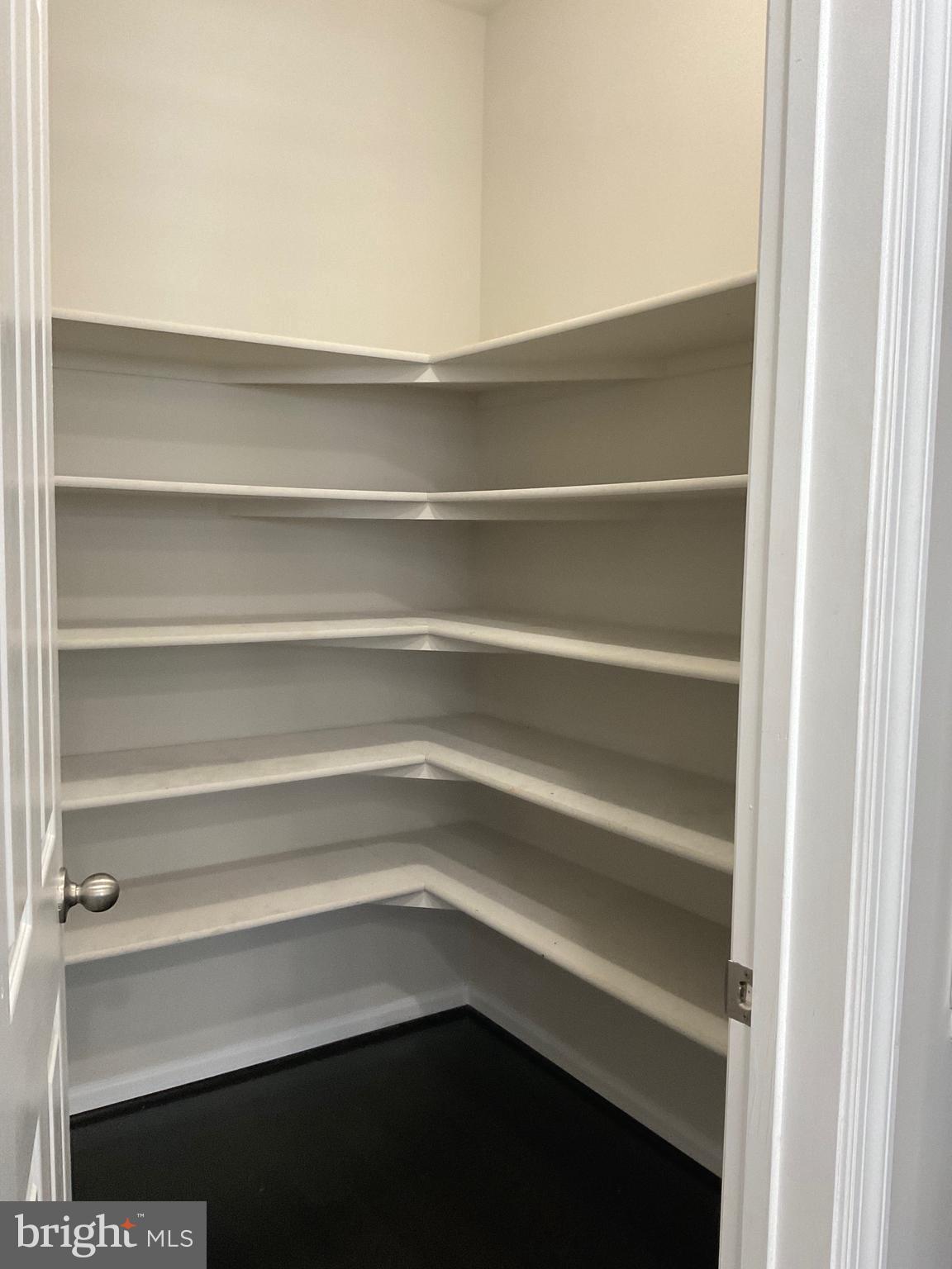 650 Blandwood Road Frederick, MD 21701 - Photo 3 of 14 Walk-in pantry