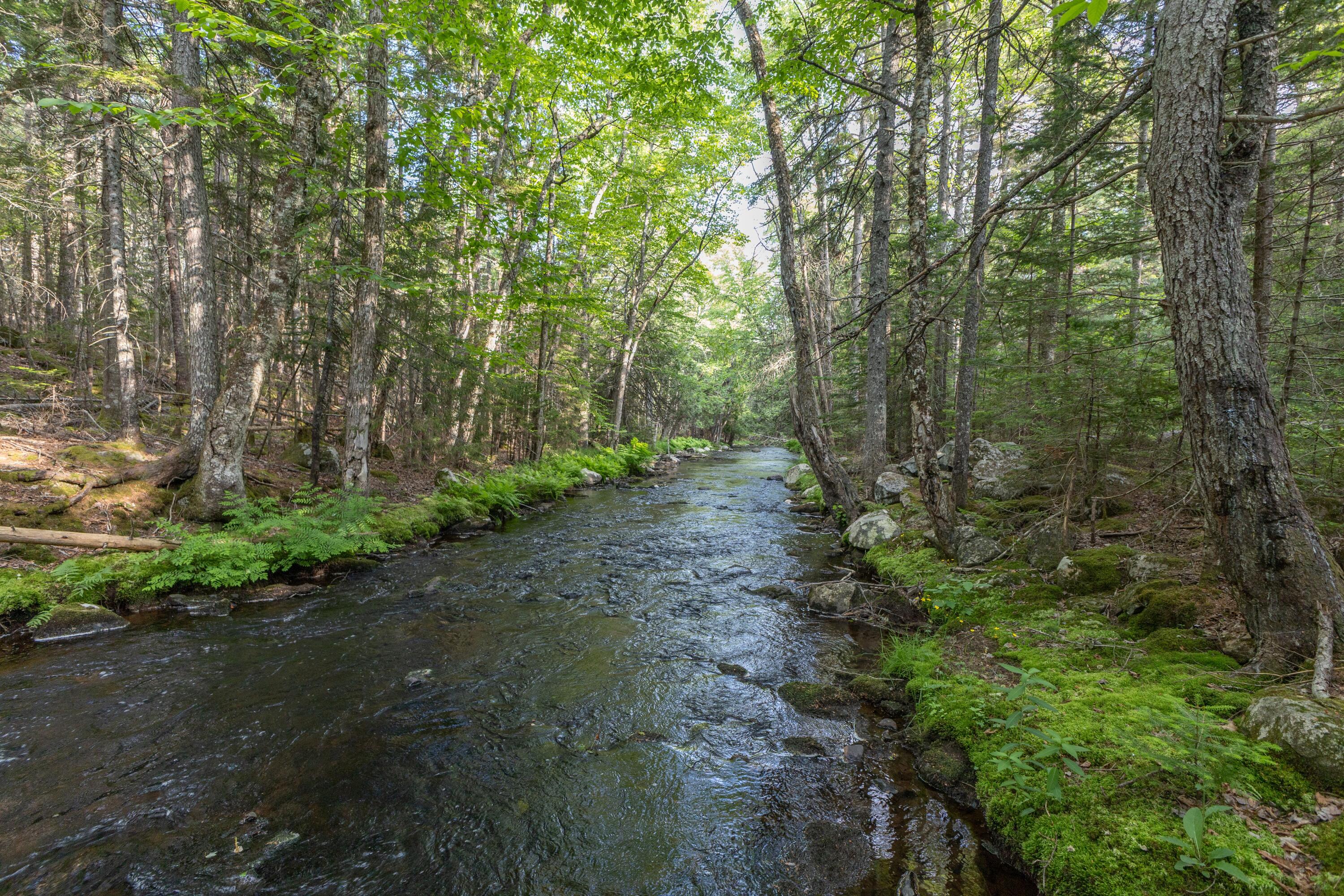 25 Farm Edge Road Sullivan, ME 04664 - Photo 1 of 28 IMG_5087