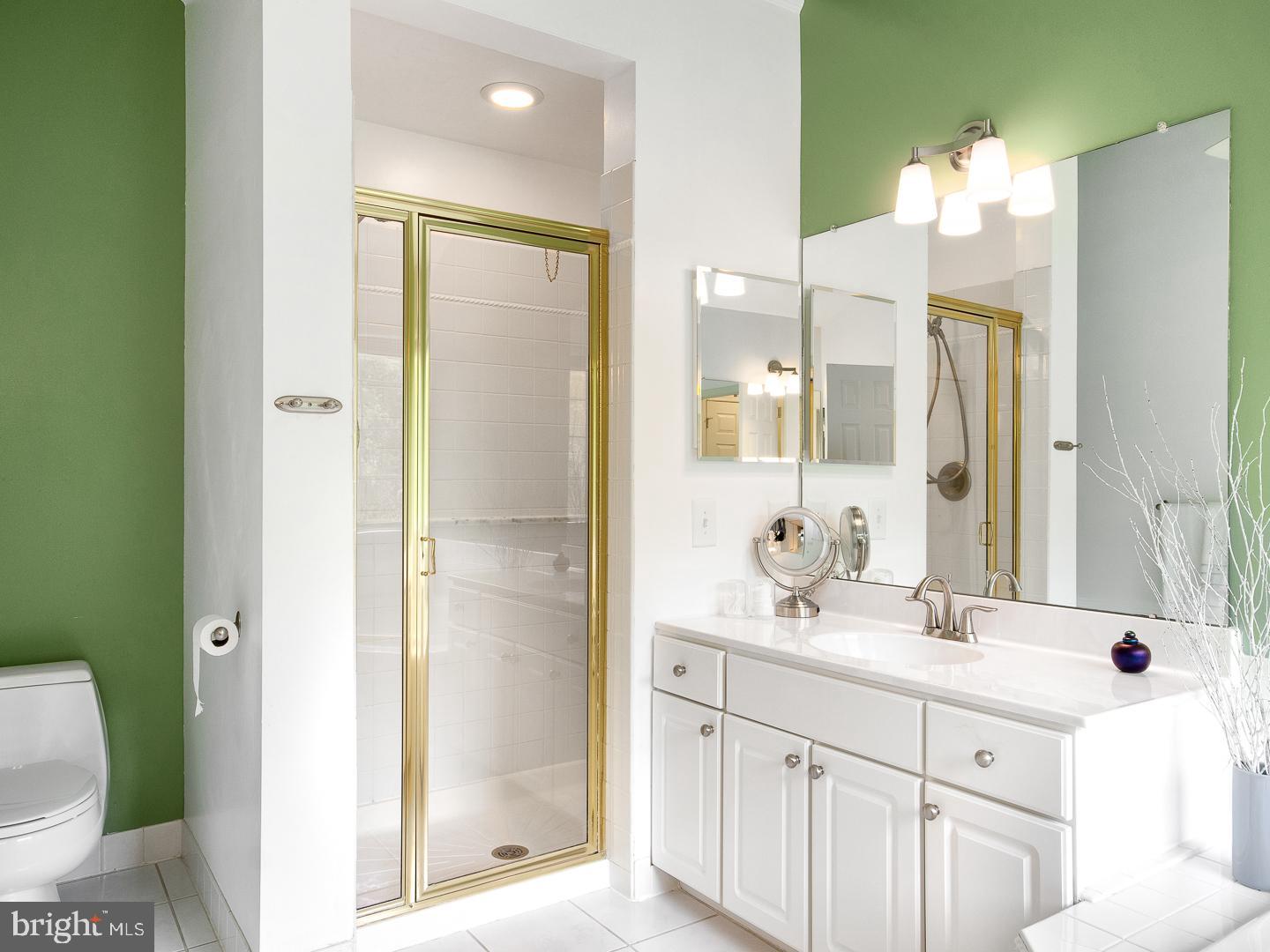 33 Mallard Drive Mount Laurel, NJ 08054 - Photo 30 of 48 Master Bathroom