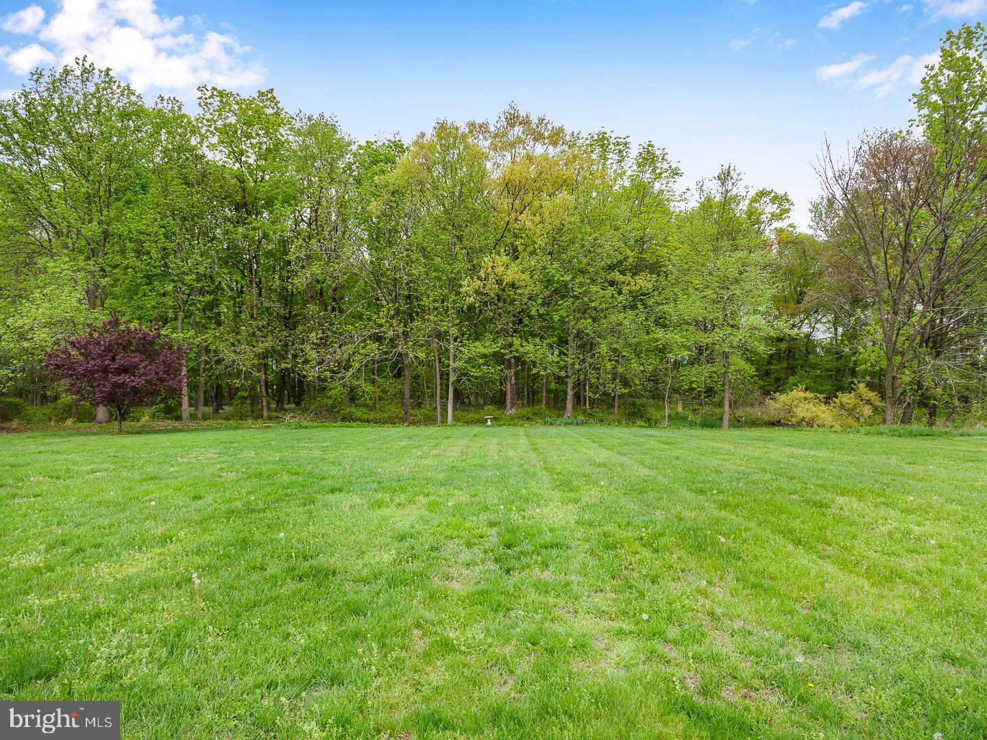 33 Mallard Drive Mount Laurel, NJ 08054 - Photo 45 of 48 Exterior Back
