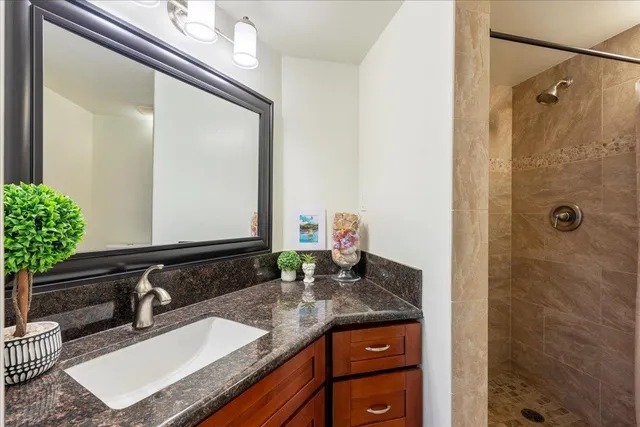 a bathroom with a granite countertop sink a mirror and shower