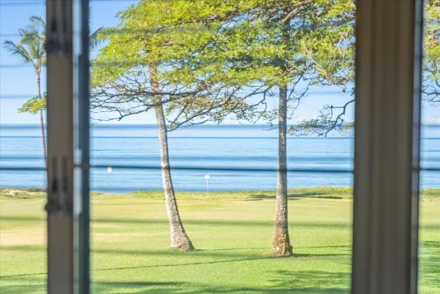 a view of a from a window