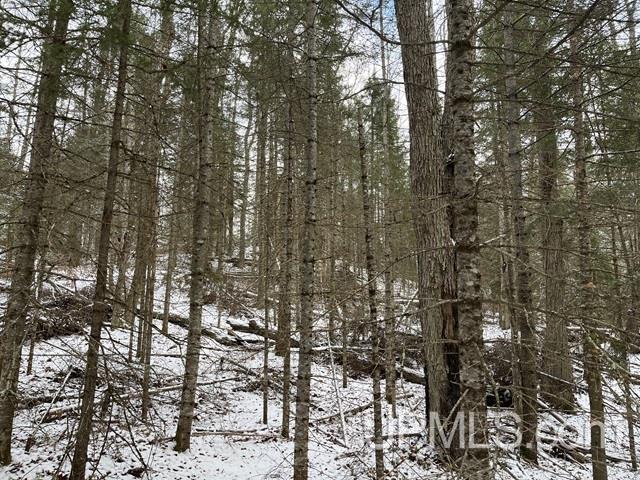 545 South Rd Skandia Mi 49885 Road Skandia, MI 49885 - Photo 12 of 38