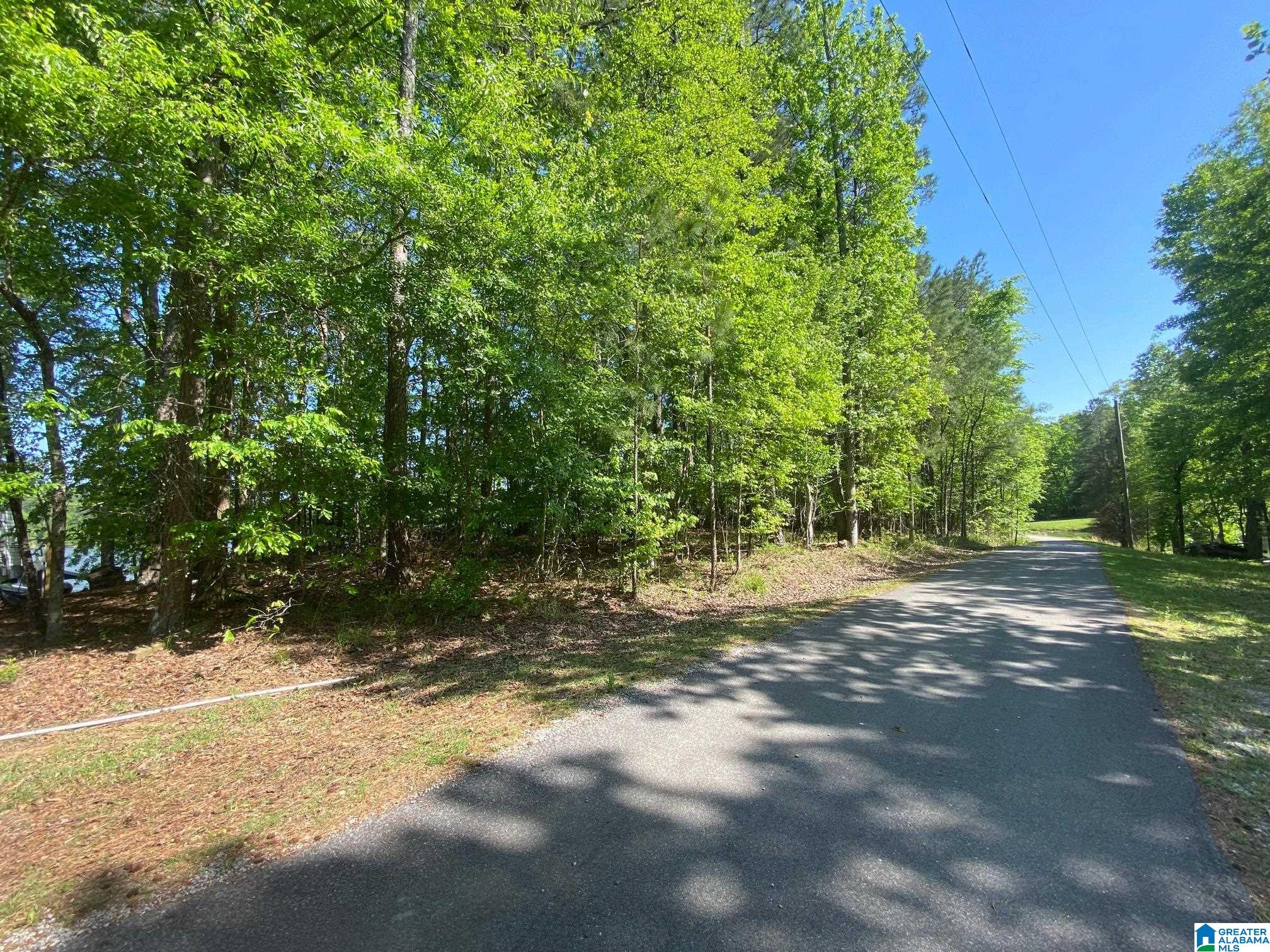 Waldrop Road, Unit 24 Ashville, AL 35953 - Photo 5 of 9