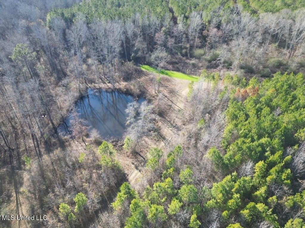9307 A Ms 28 Union Church, MS 39668 - Photo 1 of 37 aerial