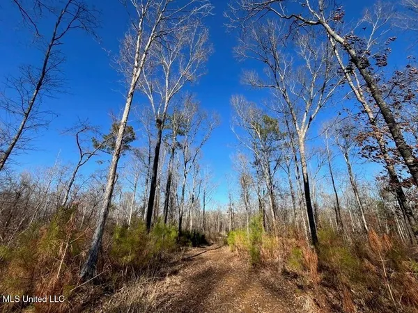 $299,000 | 9307 A Ms 28, Fayette, MS 39069