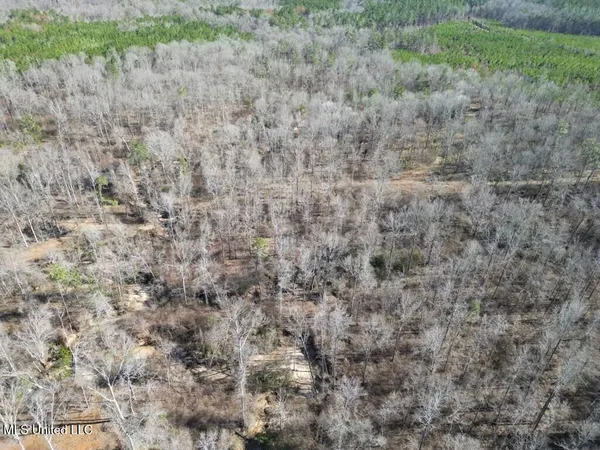$299,000 | 9307 A Ms 28, Fayette, MS 39069