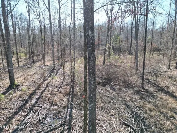 $299,000 | 9307 A Ms 28, Fayette, MS 39069