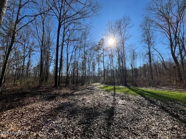 $299,000 | 9307 A Ms 28, Fayette, MS 39069