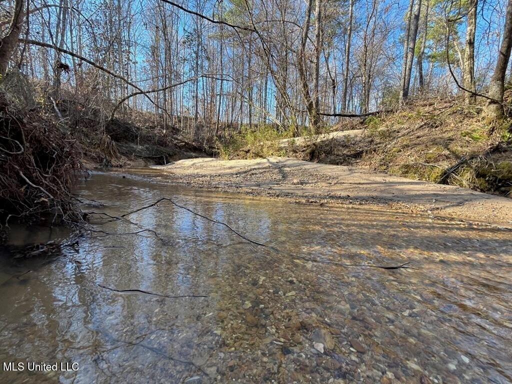 9307 A Ms 28 Union Church, MS 39668 - Photo 23 of 37 9531122a-8296-4ca2-a276-24b48048481b