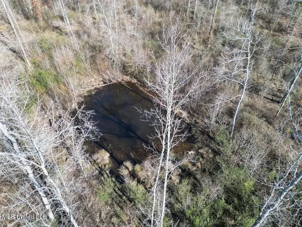 $299,000 | 9307 A Ms 28, Fayette, MS 39069