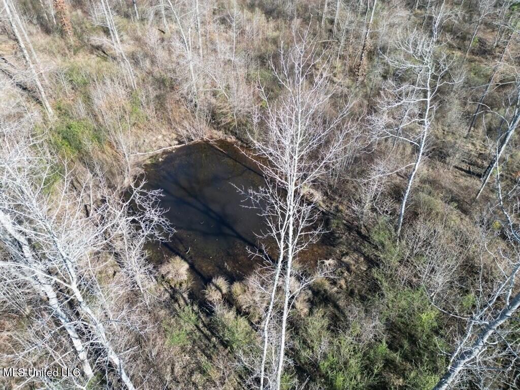 9307 A Ms 28 Union Church, MS 39668 - Photo 25 of 37 a18c8d72-c519-43a9-8283-14e1f5ee7230