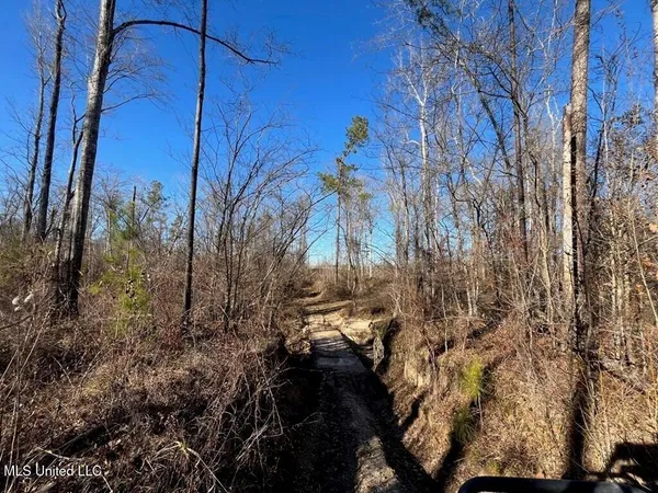 $299,000 | 9307 A Ms 28, Fayette, MS 39069