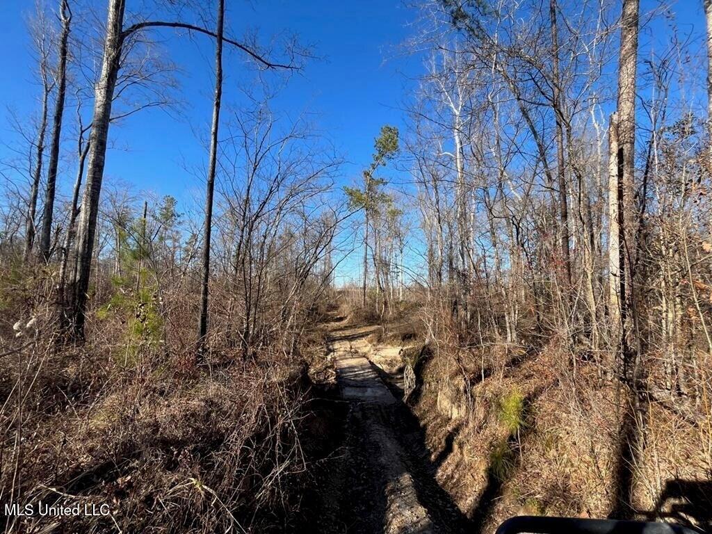 9307 A Ms 28 Union Church, MS 39668 - Photo 30 of 37 d4b5d00d-7b76-4ea9-a335-b422ed5f39de