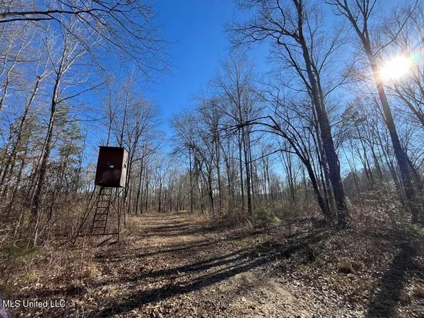 $299,000 | 9307 A Ms 28, Fayette, MS 39069