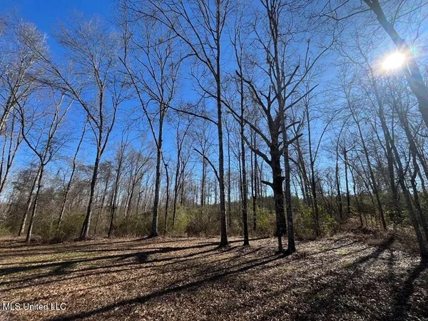 $299,000 | 9307 A Ms 28, Fayette, MS 39069