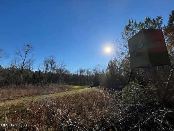 $299,000 | 9307 A Ms 28, Fayette, MS 39069