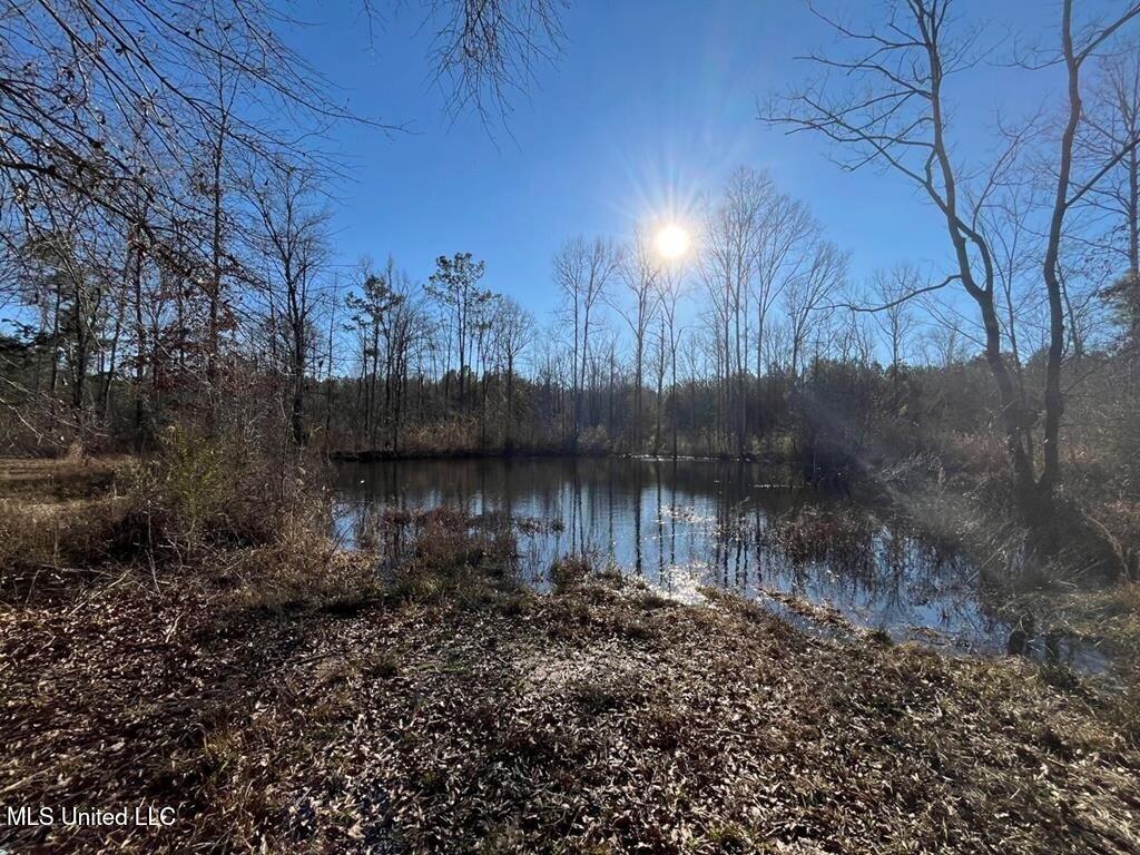 9307 A Ms 28 Union Church, MS 39668 - Photo 6 of 37 9e4becb7-a471-4046-8945-12173af7fd53