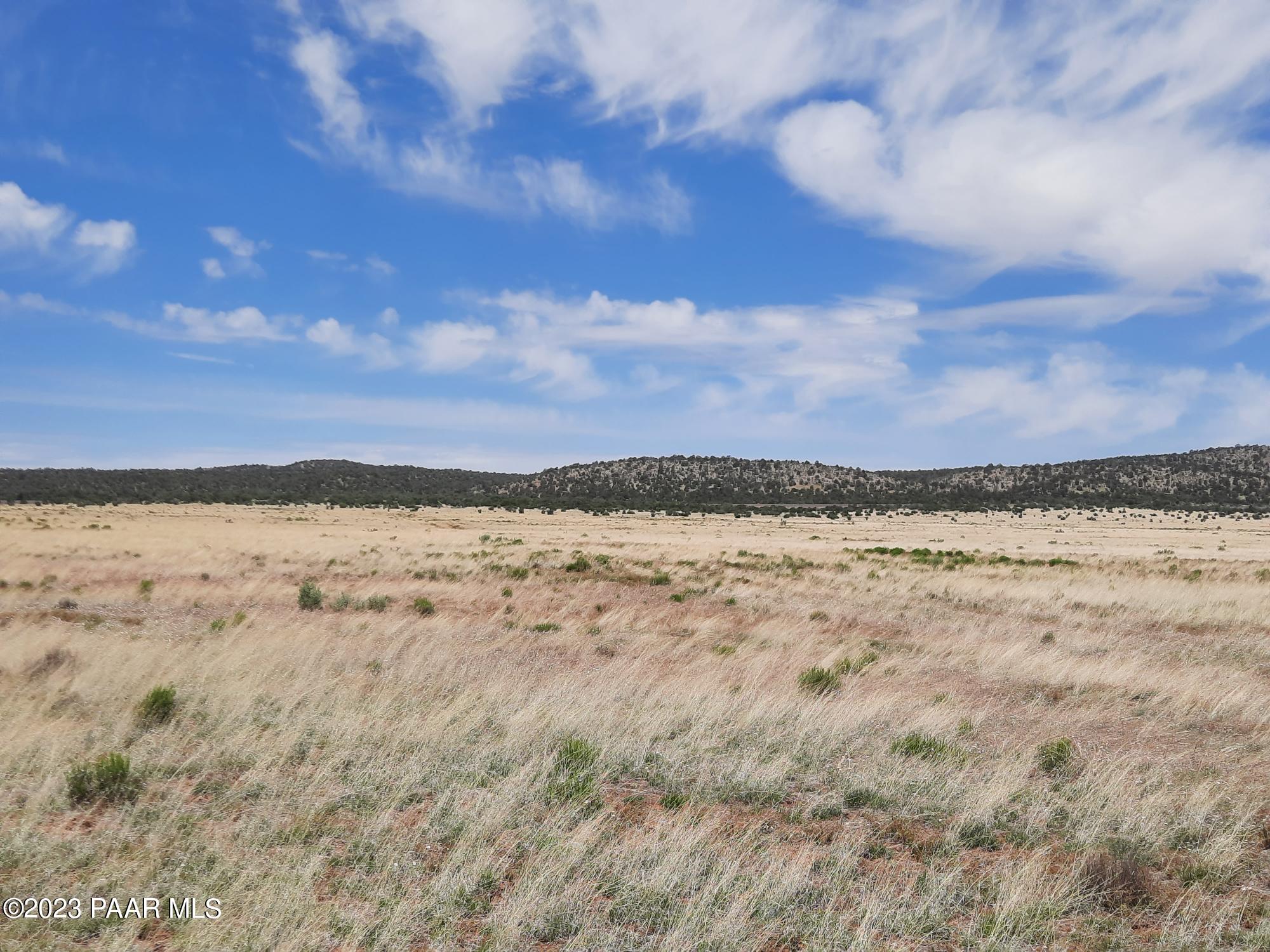0 Tear Drop Road Seligman, AZ 86337 - Photo 6 of 9 20230607_105202
