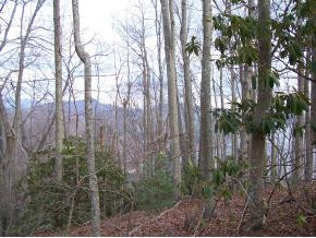 181 Mallard Cove Road Butler, TN 37640 - Photo 8 of 9 Photo 8
