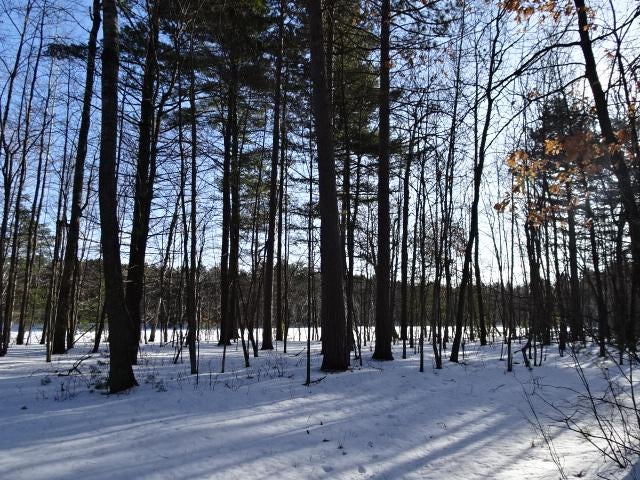Lot 2 Sandy Court Minocqua, WI 54548 - Photo 4 of 19 Gallery Image 4