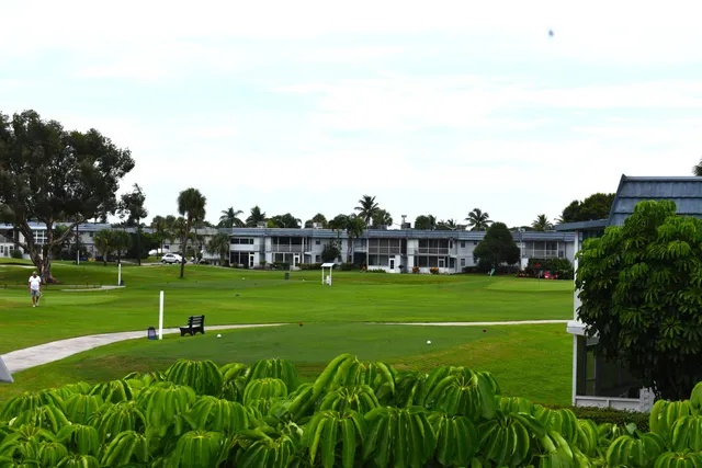 a green field with lots of trees