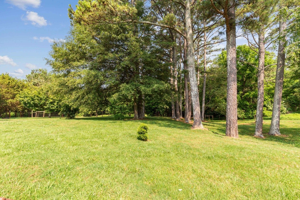 1370 Kasserman Switch Road Belvidere, TN 37306 - Photo 20 of 25 Gallery Image 20
