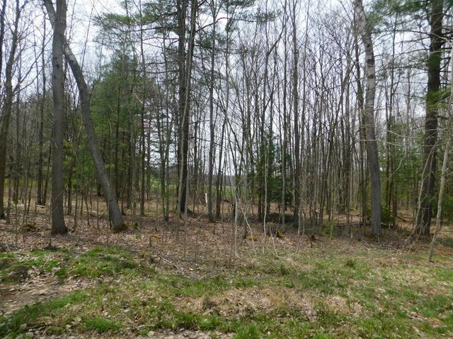 8833 Scandia Road Russell, PA 16345 - Photo 41 of 44 Gallery Image 41