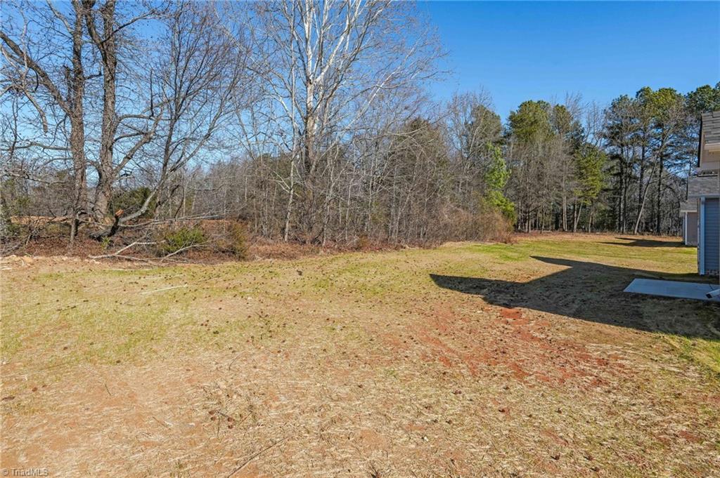 527 Grooms Road Reidsville, NC 27320 - Photo 5 of 38