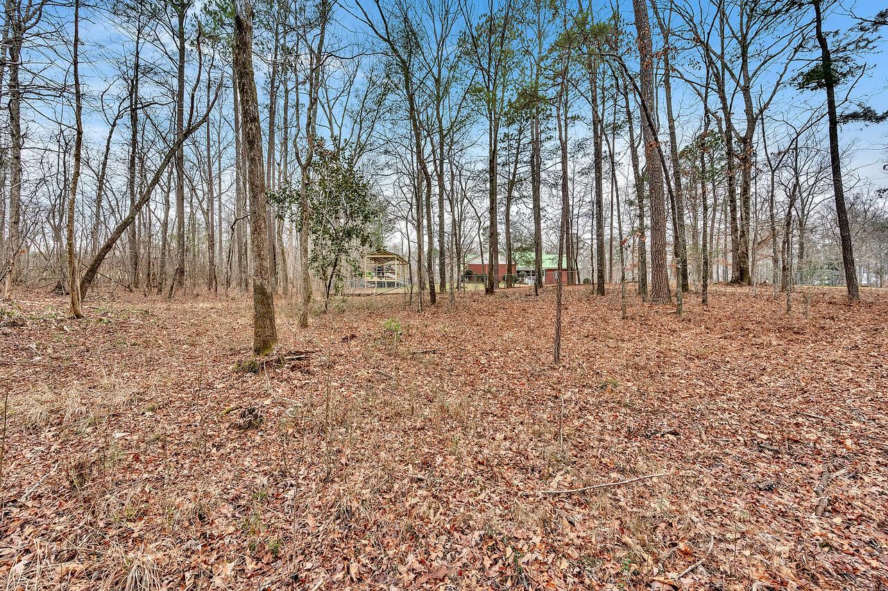 444 Harrison Shipman Road Jasper, AL 35503 - Photo 15 of 15 Gallery Image 15
