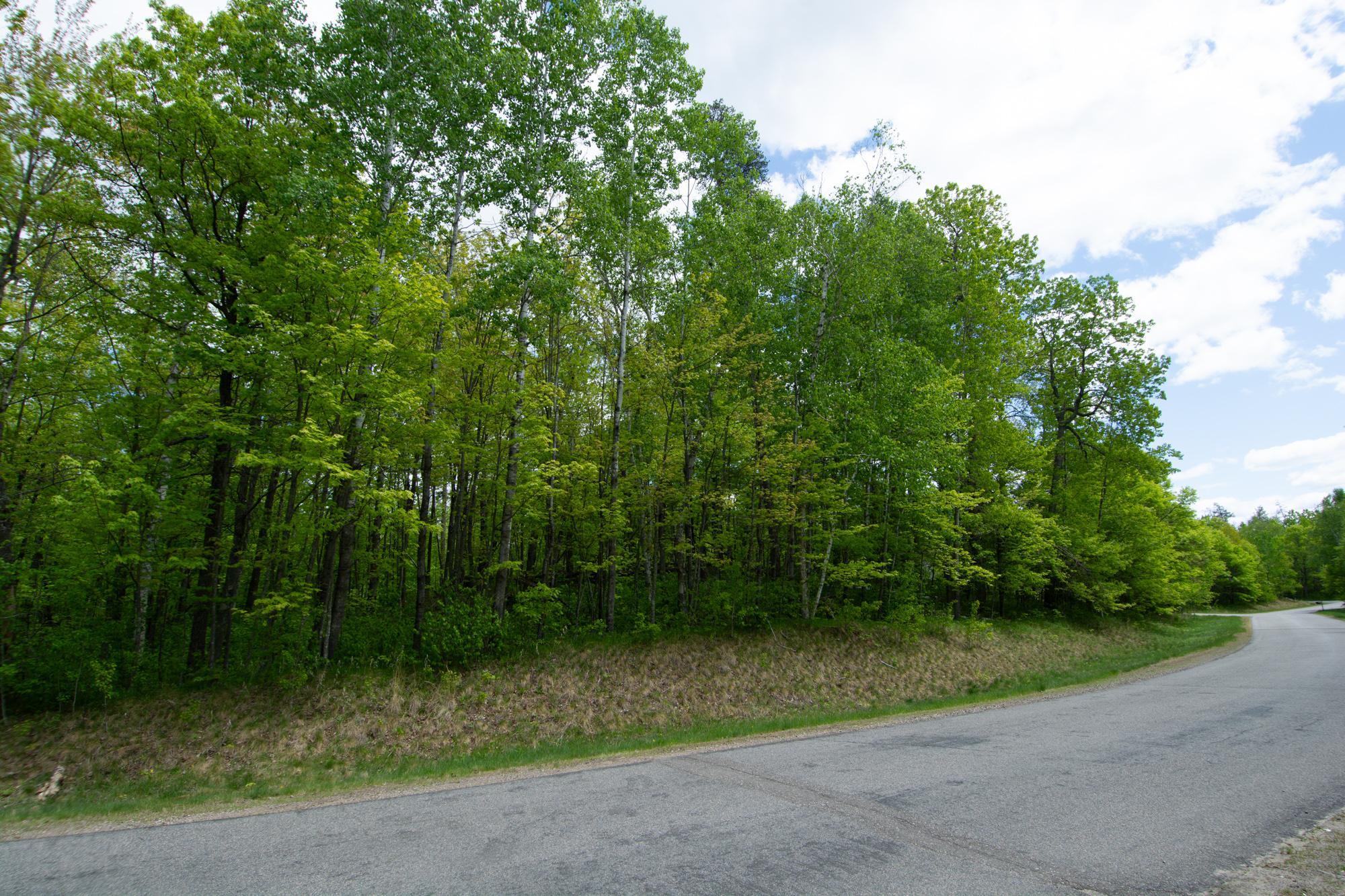 Lot 001 Block 013- Green Breezy Point, MN 56472 - Photo 10 of 10