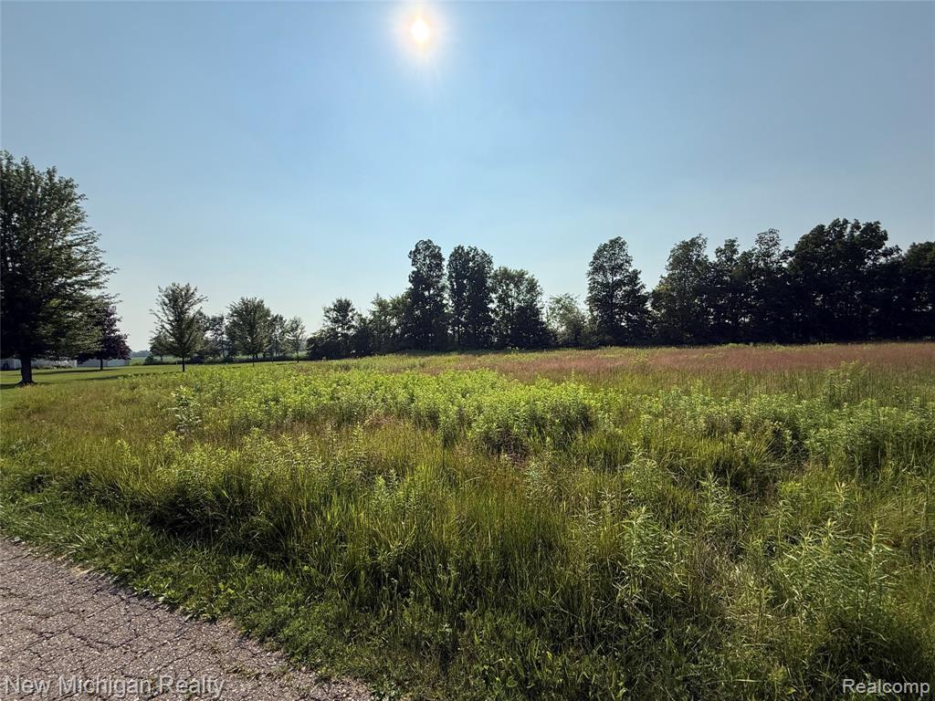 9807 Oak Ridge Road New Lothrop, MI 48460 - Photo 7 of 10
