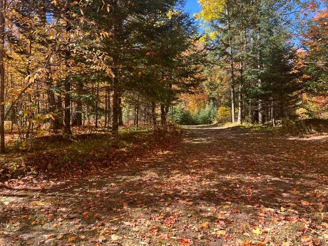 11826 Renberg Road Long Lake, WI 54542 - Photo 22 of 23 Gallery Image 22