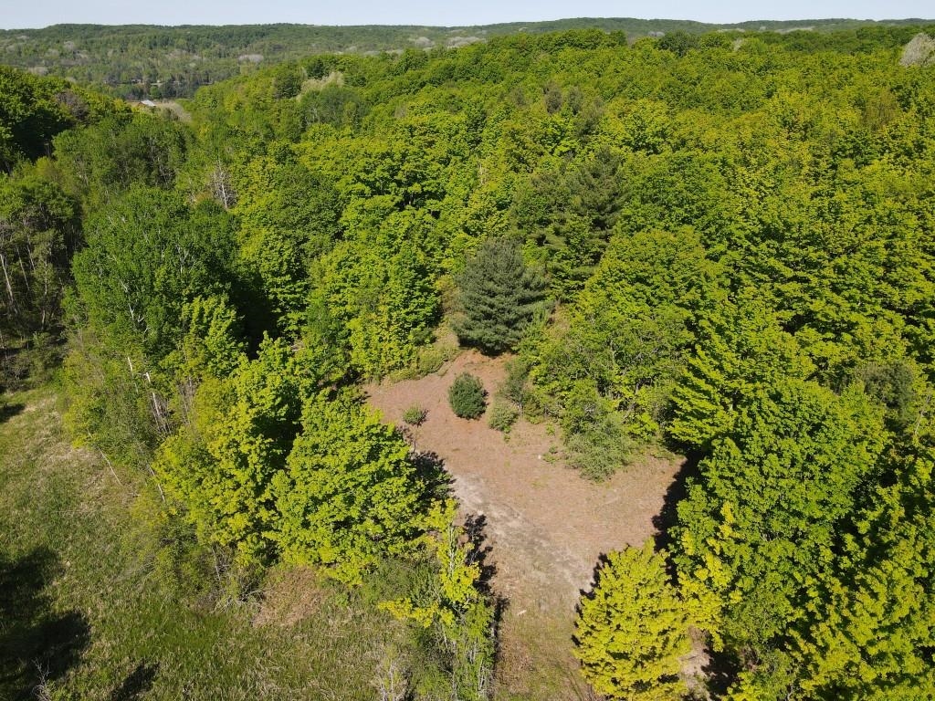 Tbd Pesek Road East Jordan, MI 49727 - Photo 12 of 28
