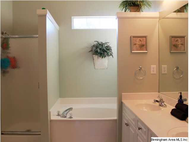 924 Waterford Trail Calera, AL 35040 - Photo 7 of 32