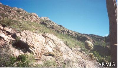 0 West Ina Road Tucson, AZ 85718 - Photo 5 of 8