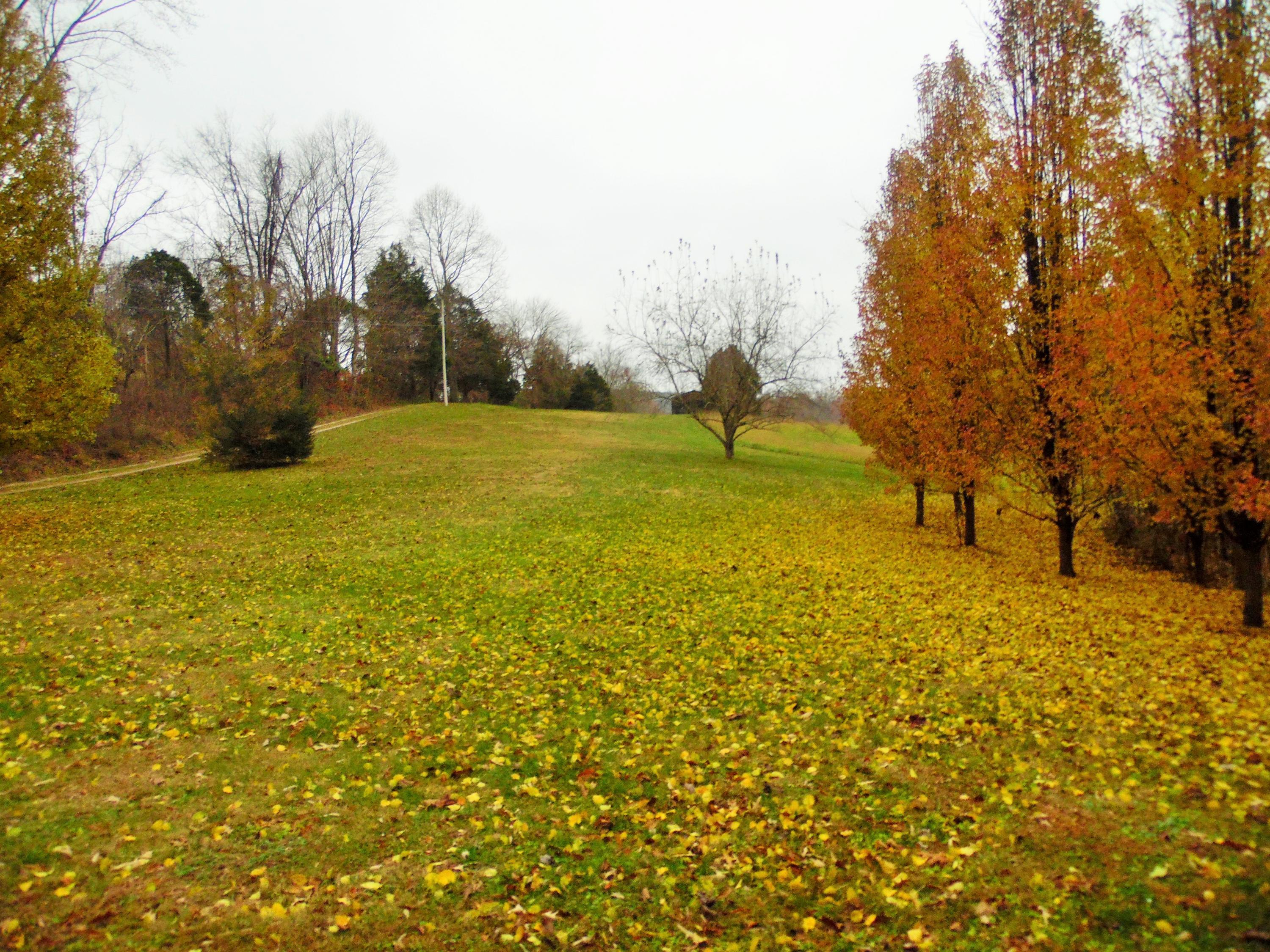 SAM_0035