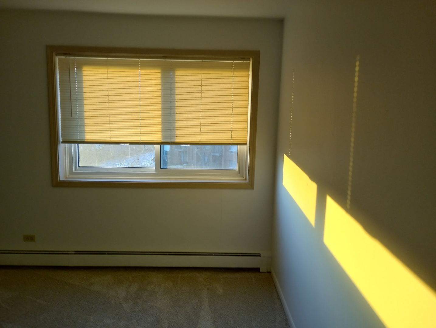 4731 St Joseph Creek Road, Unit 4E Lisle, IL 60532 - Photo 21 of 21