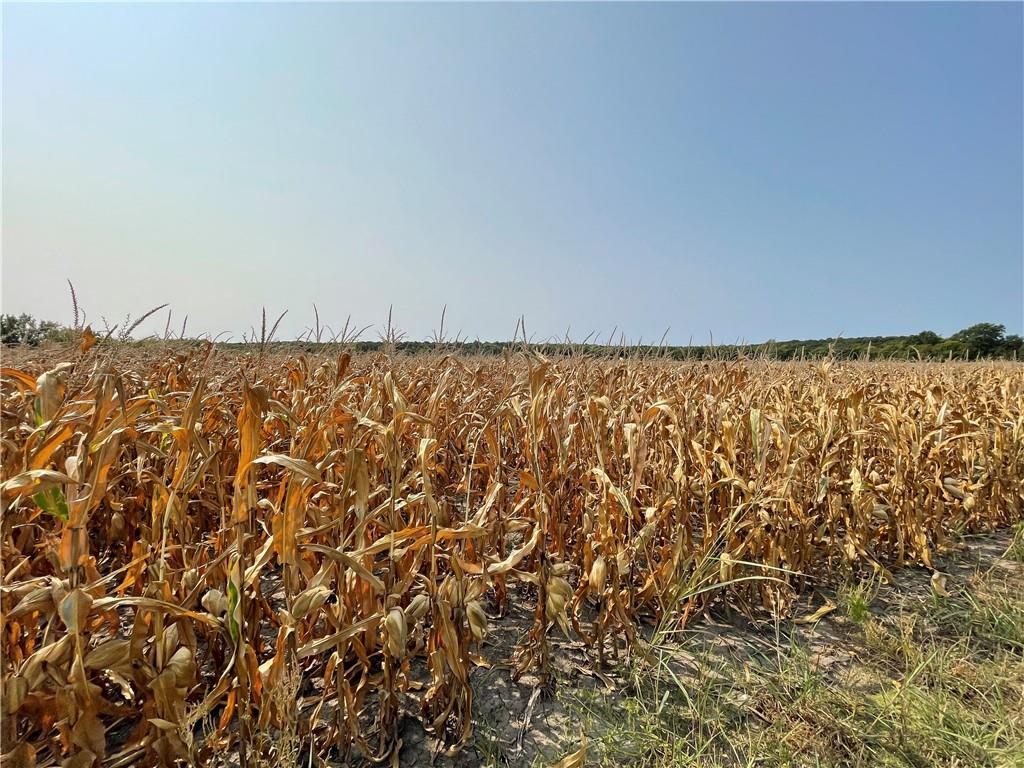 299th Street Paola, KS 66071 - Photo 13 of 15