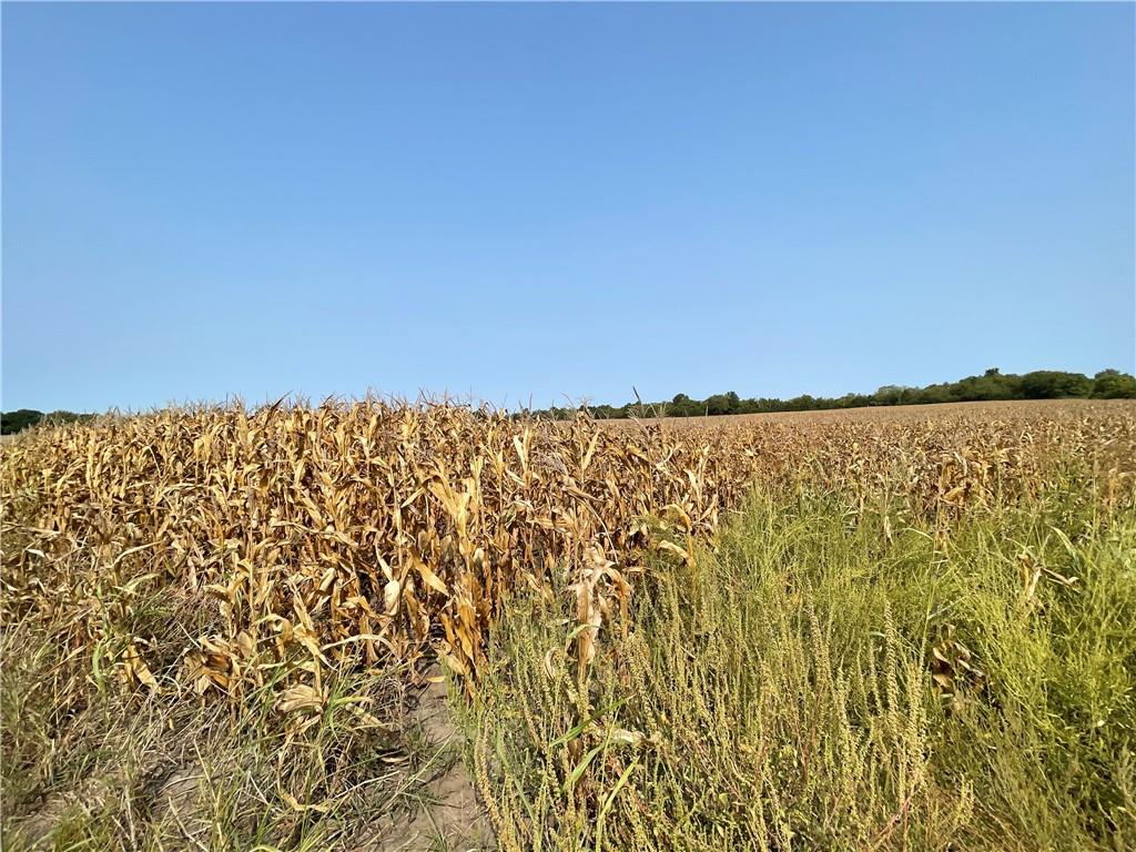 299th Street Paola, KS 66071 - Photo 9 of 15