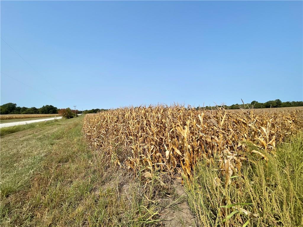 299th Street Paola, KS 66071 - Photo 10 of 15