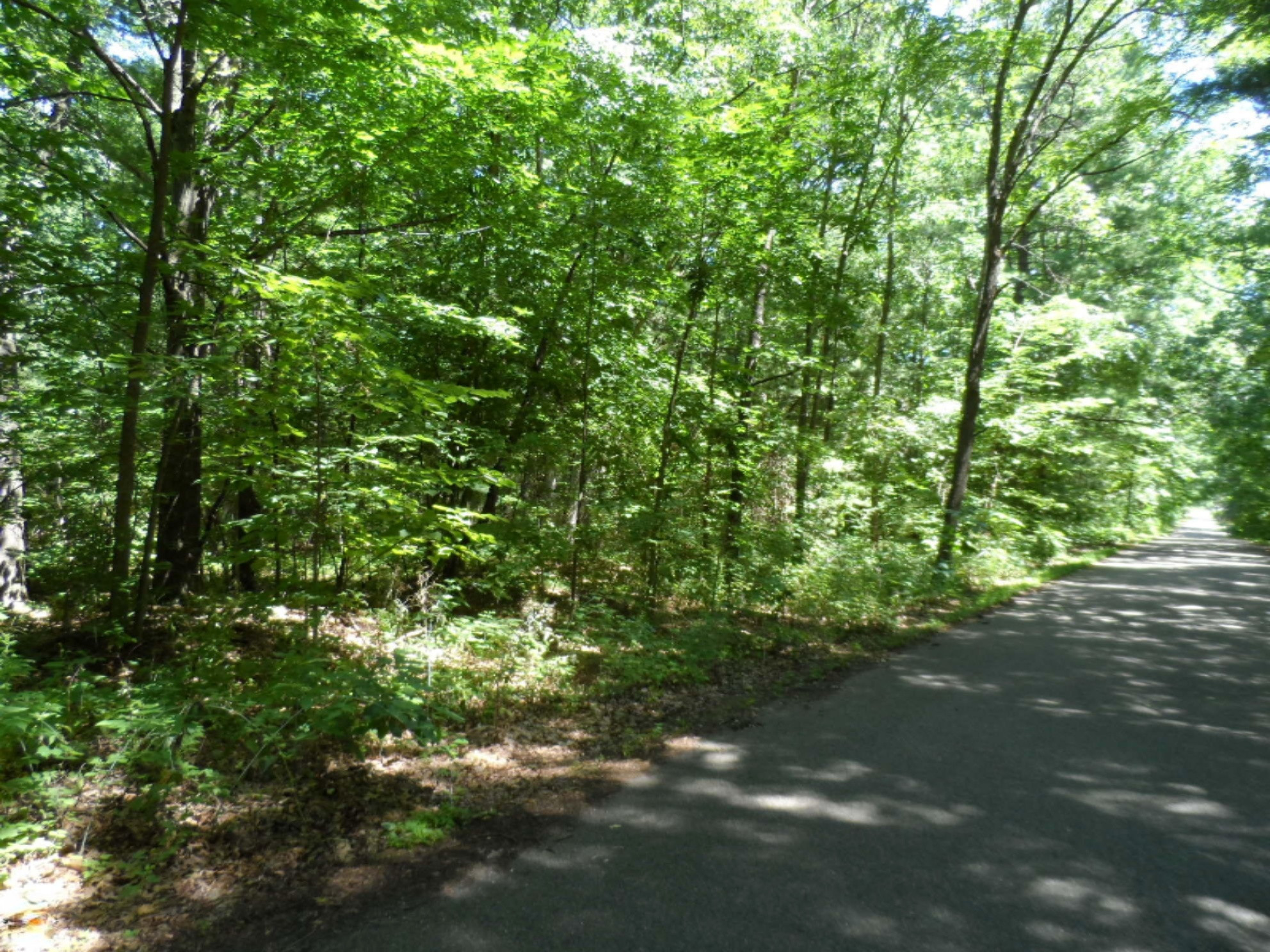 South Babylon Road Allegan, MI 49010 - Photo 3 of 4 SAM_2755