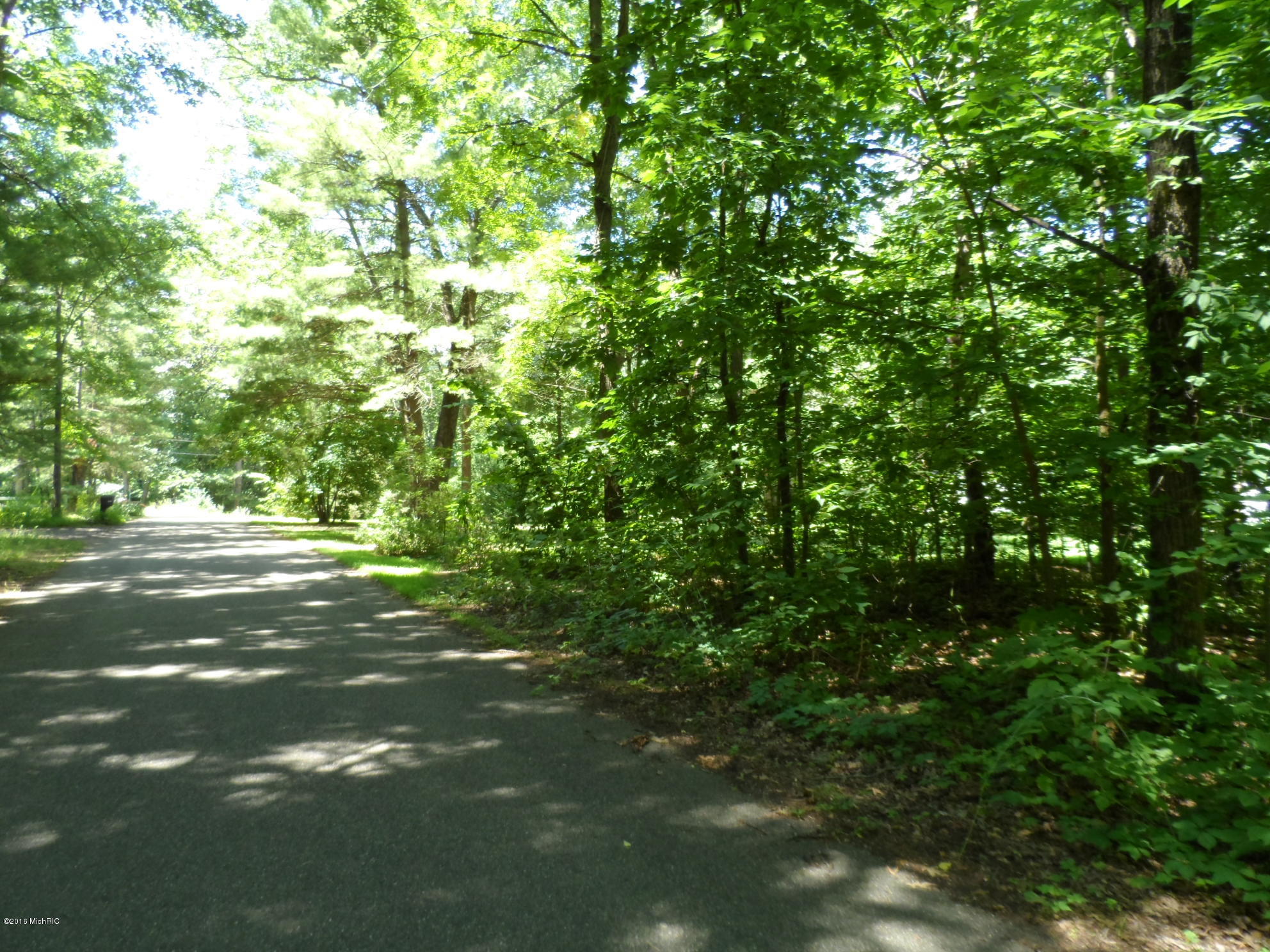 South Babylon Road Allegan, MI 49010 - Photo 4 of 4 SAM_2756