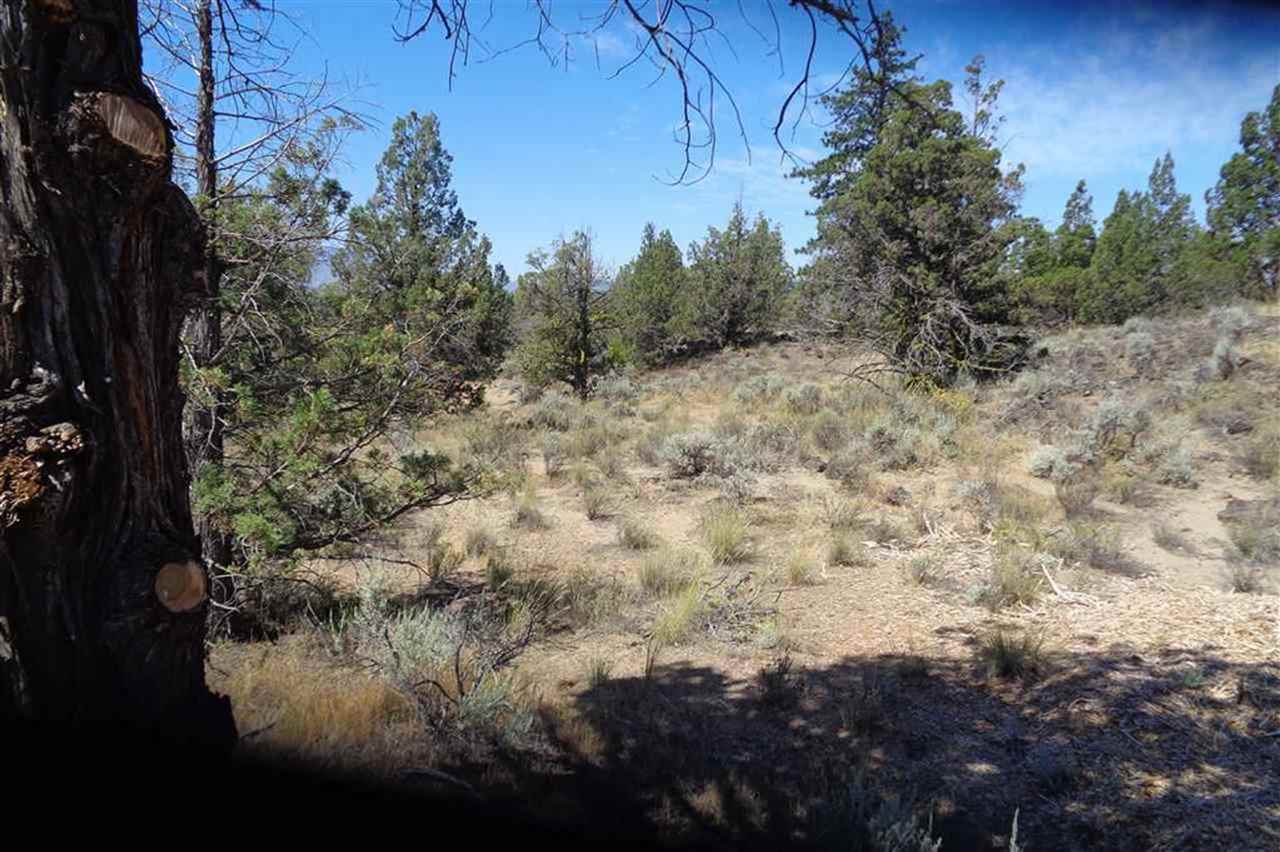 Lot 4 Proteau Road Montague, CA 96064 - Photo 13 of 16 Gallery Image 13