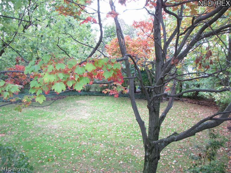 2729 Rochester Road Shaker Heights, OH 44122 - Photo 18 of 25 Gallery Image 18