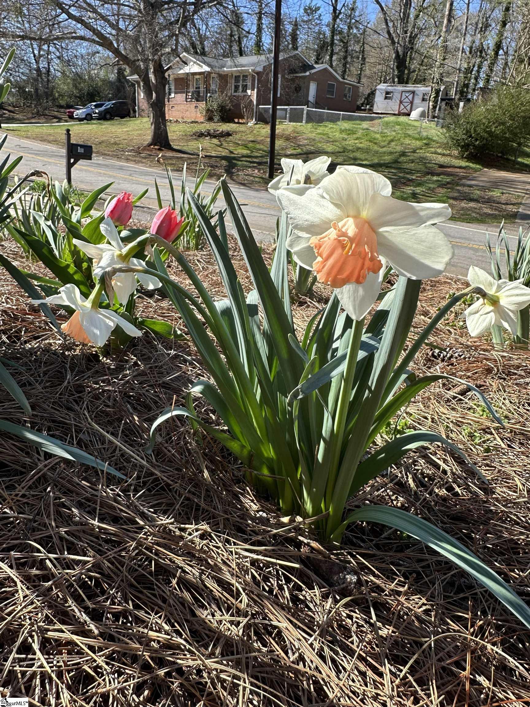 111 Cox Street Travelers Rest, SC 29690 - Photo 23 of 26