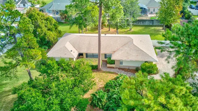 a view of a deck with a large trees