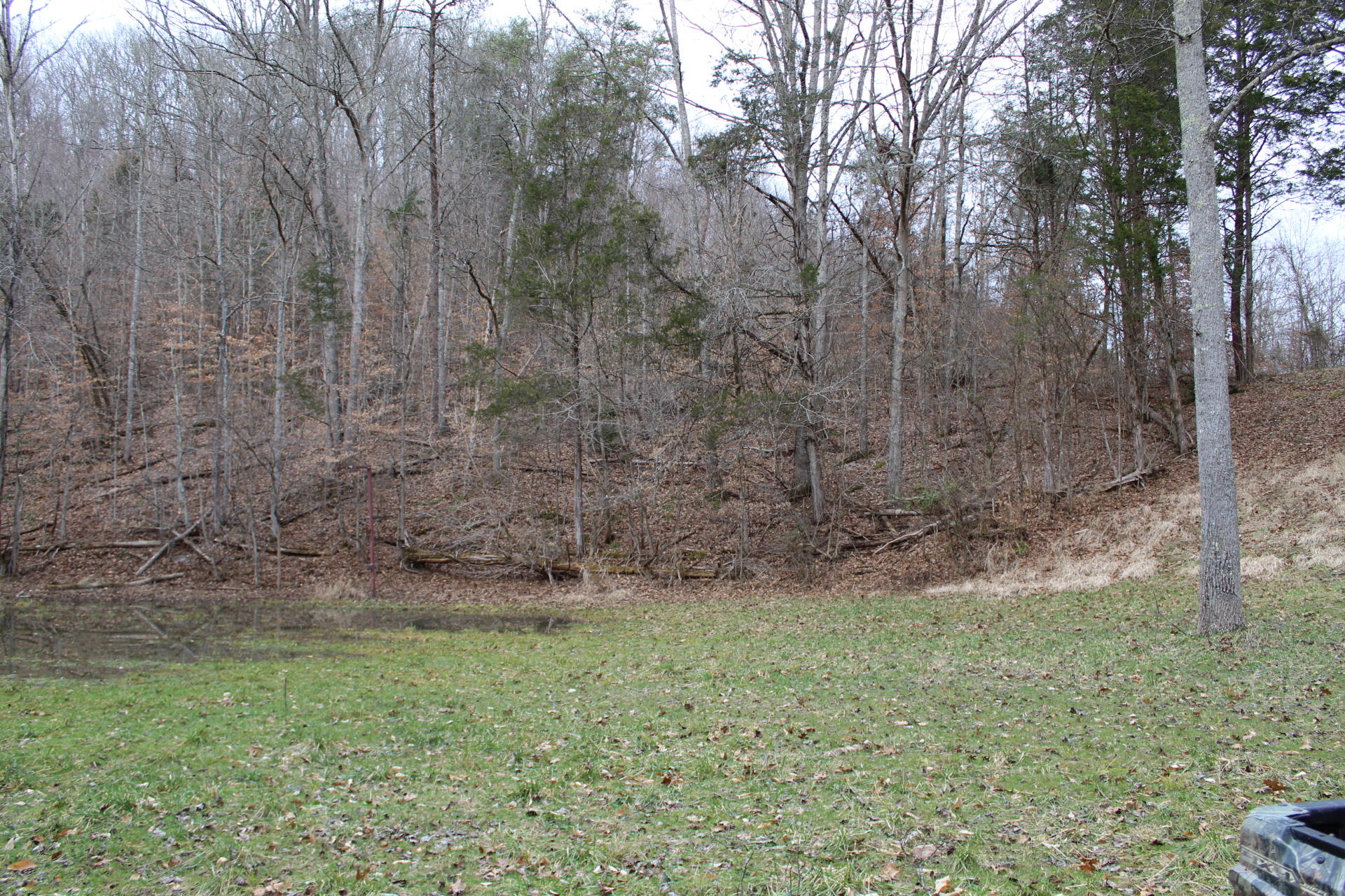 13866 Fairview Road, Unit 1 Blackwater, VA 24221 - Photo 26 of 44 IMG_3326