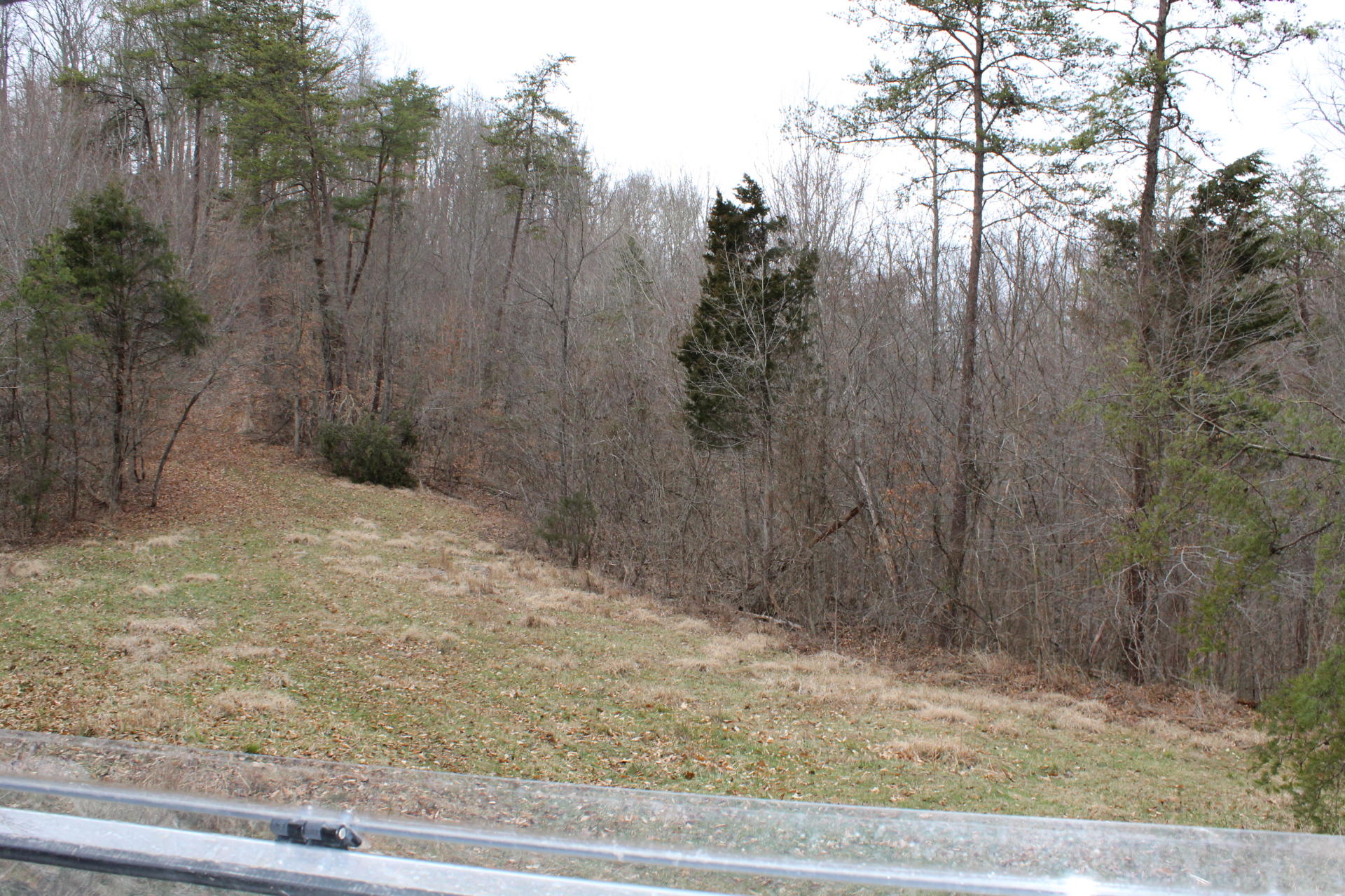 13866 Fairview Road, Unit 1 Blackwater, VA 24221 - Photo 28 of 44 IMG_3323